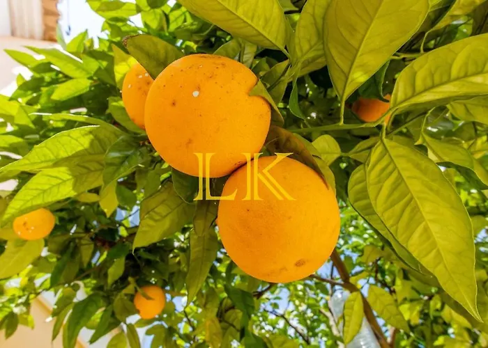 Lägenhet Lk Algarve Mor Portimão